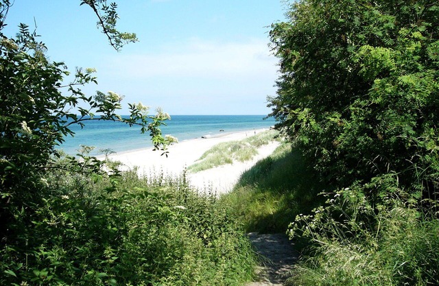 Lovely apartment in villa for 4 guests with WIFI, TV, terrace and pets allowed