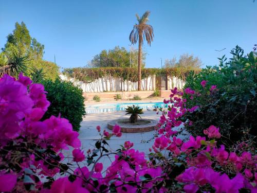 Luxury Gardenhouse pool WiFi Hurghada