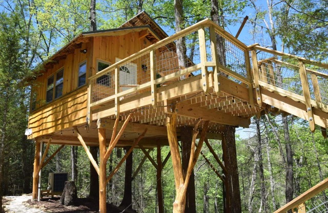 Luxury treehouse built by The Treehouse Guys of the DIY show