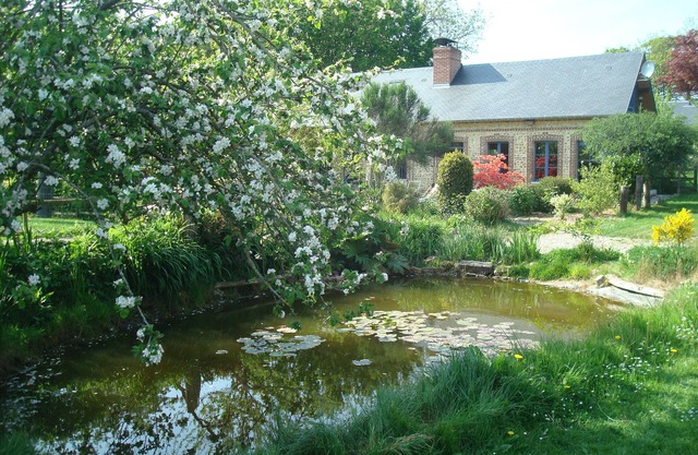 Maison Normande Avec Jardin à 4 km D'etretat