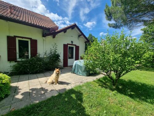 Maison vacances les fougères