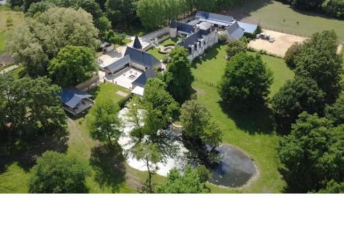 Manoir, vignes et chevaux au cœur des châteaux