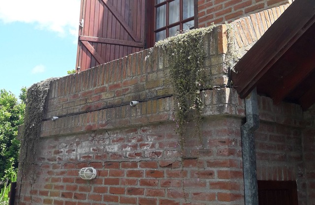 Marcela Country Hipocampo