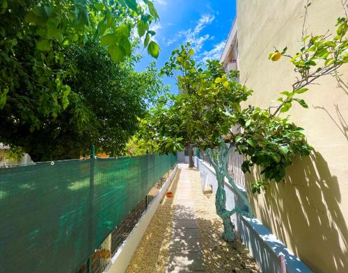 MARECHIARA Apartment - Independent ground-floor unit in central Nettuno with private patio, just 50 m from the sea and steps from the train station