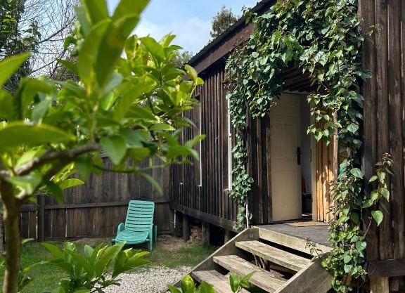 Meraki House