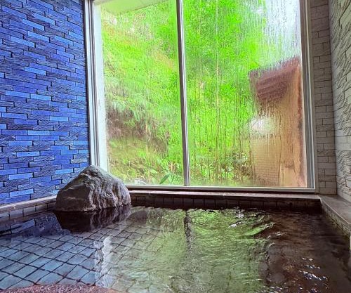 Minpaku Gozamisaki - Vacation STAY 23487v