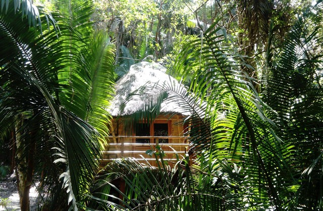 Mint Cabin 1. Romantic Ecolodge in the jungle by the sea