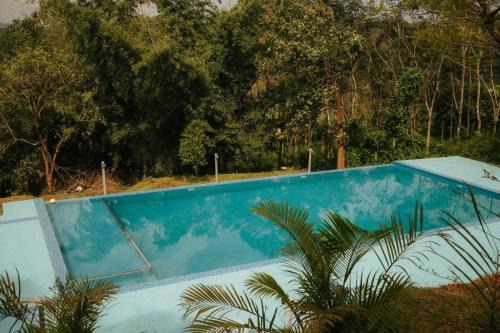 Misty Night Wayanad Pool Resort