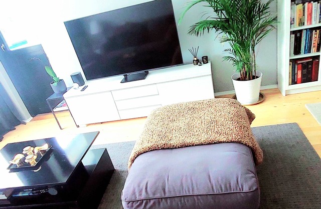 Modern Apartment With Sunny Balcony in Copenhagen