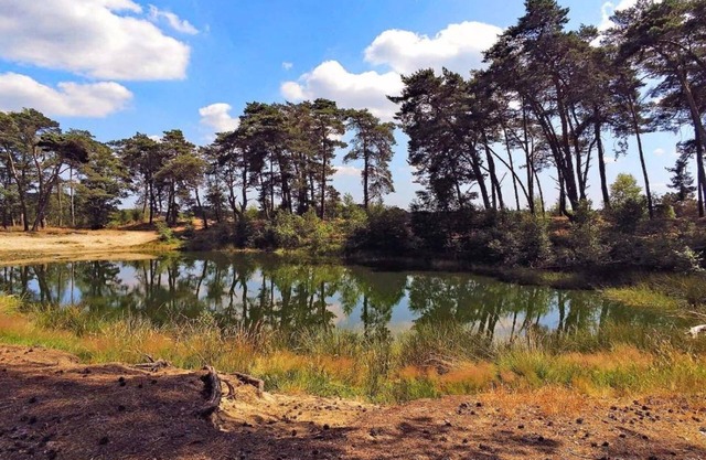 Modern chalet with dishwasher