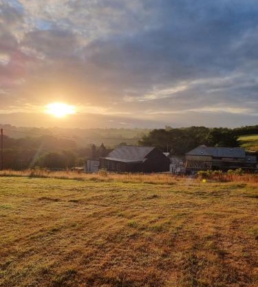 Modern Farm house with 12 acres