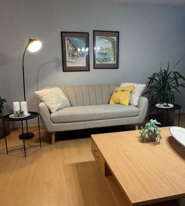 Moderna kuca u centru- dve spavaće sobe, parking u okviru dvorista