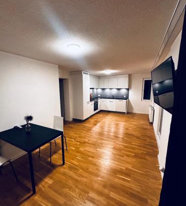 Modernes City Apartment am See, Zentral