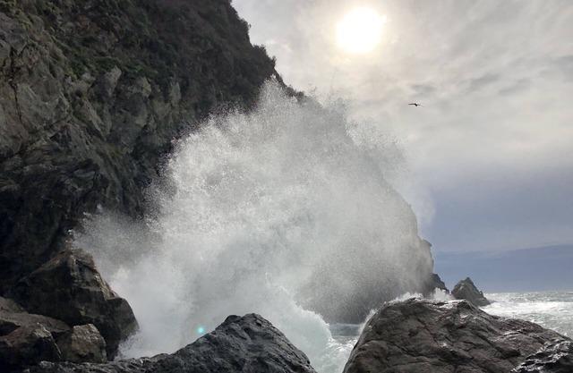 Monterey Bay Ocean Views: close to Aquarium w hot tub - park setting, sleeps 7