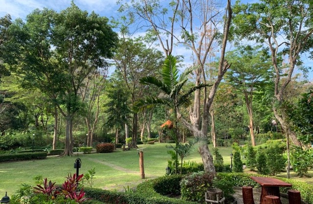 Moosiyard Hometel Khaoyai