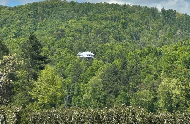 Mountain View’s, dual water fall Koi pond and private theater.