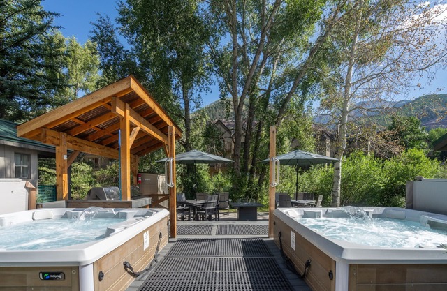 Mountainside Inn 106 1 Bedroom Condo by Alpine Lodging Telluride