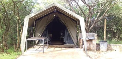 My Bush Camp