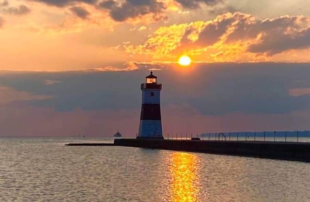 NESTLED IN THE WOODS