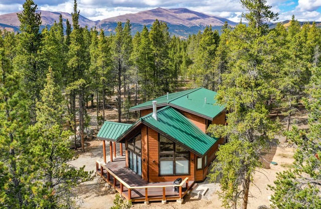 New! Family Friendly, Pet Friendly, New Build, 20 mi to Breckenridge - Lamplighter Lodge