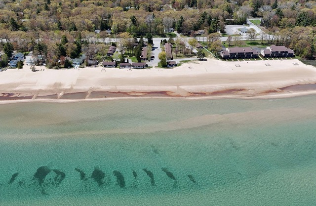 New! Surfside 13 - Cute & Pet-Friendly Lakefront Condo with Washer, Dryer, A/C and Gorgeous Beach!