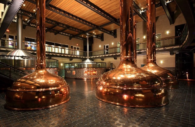 NO HELENE DAMAGE | Pet-Friendly POWER & WATER