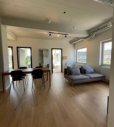 Norrebro big apt