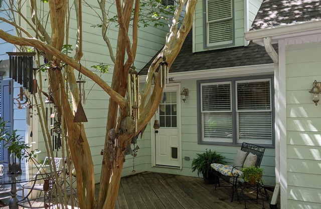 North Raleigh Serenity