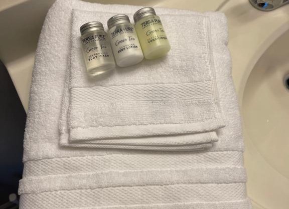 Oasis - Entire Home 10 minutes from Uptown Charlotte, NC