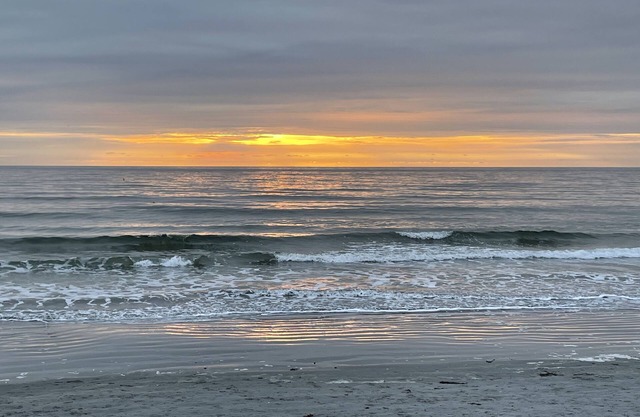 Ocean View! Newly renovated; Indoor Pool;1 month Rental July or Aug; Short Sands