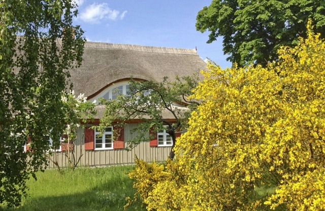 Old shipman's house Comfortable holiday residence