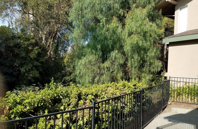 Olive Tree Inn & Suites