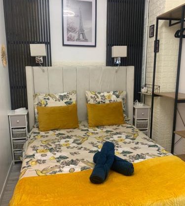 paris beautiful cozy studio