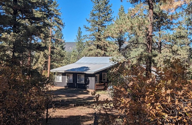 Peaceful 2-Bedroom Retreat in the Pines – Pet-Friendly with Mountain Charm