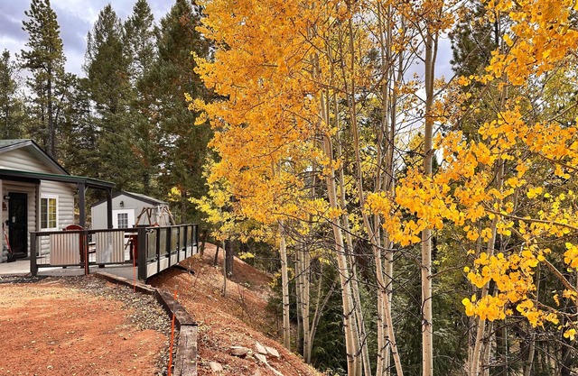 Pet-Friendly Cabin & Hot Tub by Pikes Peak