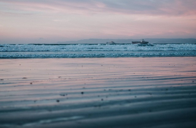 Picnic on the Beach