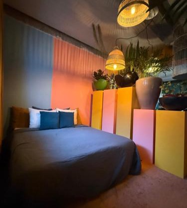 Plantkot, a cozy apartment full of plants of tinykot