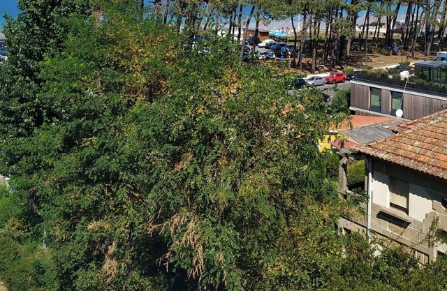 Primera Línea De Playa Avenida De Samil 55