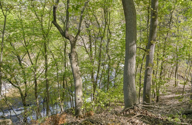 Private 1 Bed Apartment - Carriage House