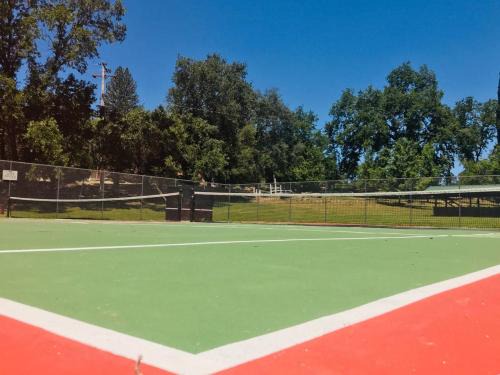 Private Backyard Firepit Hammock BBQ Grill