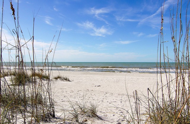 Private Beach access Rated #1 in Florida/Pets welcome with fee