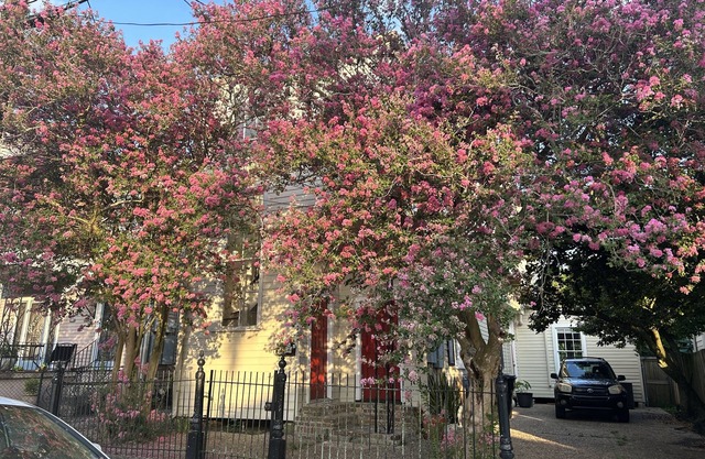 Private Garden District Home