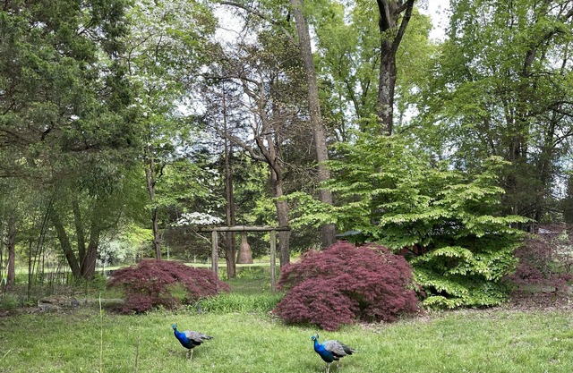 Private lake house garden resort