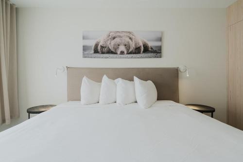 Private Luxury Room- C - King bed, Centrally Located , Free Shuttle to ski Hill and Resort, Coffee