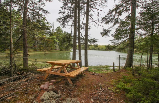 Private riverfront retreat with foosball & firepit - overlooks nature preserve