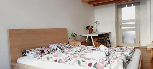 Private room 30 min nice Green walk old center A