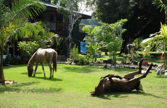 Puerto Pilon Pavones