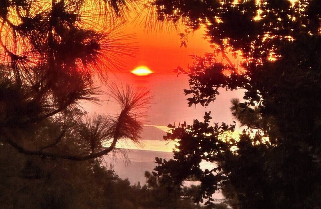 Quiet cabin in Idyllwild. Stunning Views, Cozy, Private, Pet-Friendly.