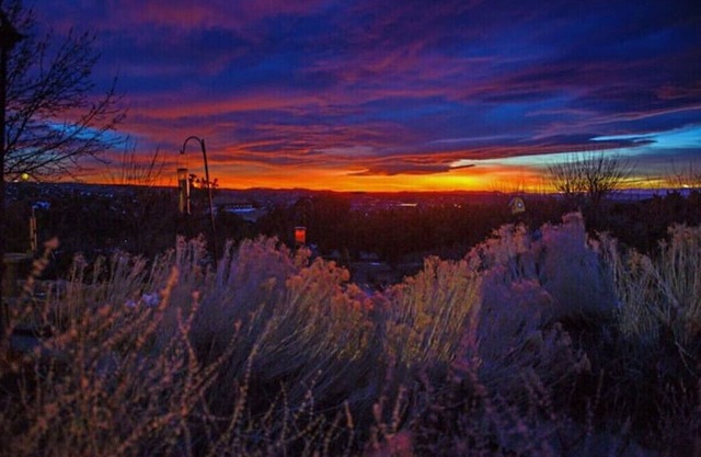 Quiet, Scenic Mountain Setting, 10 min. from Plaza, SF Opera minutes away