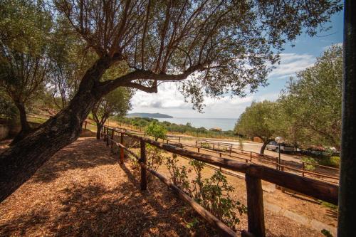 Regina Villaggio Camping